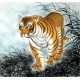Chinese Tiger Painting - CNAG010003