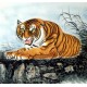 Chinese Tiger Painting - CNAG010004