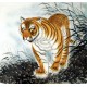 Chinese Tiger Painting - CNAG010006