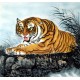Chinese Tiger Painting - CNAG010007