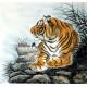 Chinese Tiger Painting - CNAG010011