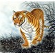 Chinese Tiger Painting - CNAG010012