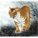 Chinese Tiger Painting - CNAG010016
