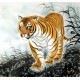 Chinese Tiger Painting - CNAG010017