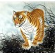 Chinese Tiger Painting - CNAG010020