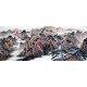 Chinese Landscape Painting - CNAG010079